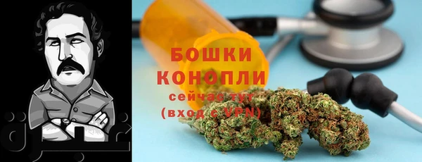 сатива Вязники