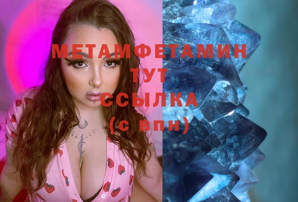сатива Вязники