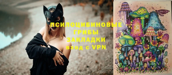 ALPHA-PVP Вяземский